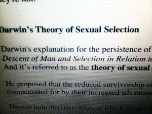 Snapshot of my screen