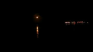 The moment I just know there's more to all this madness.